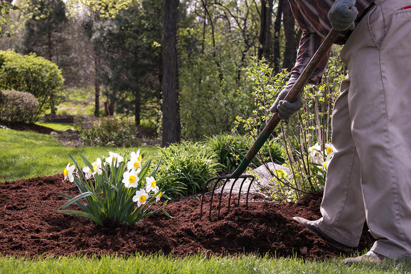 Files Spring Clean Up Spring Clean-up โ SGPNow.com