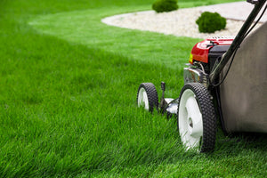 Grass Cut Services