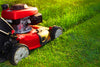 Grass Cut Subscription