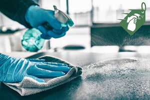 Property Sanitization | SGPNow